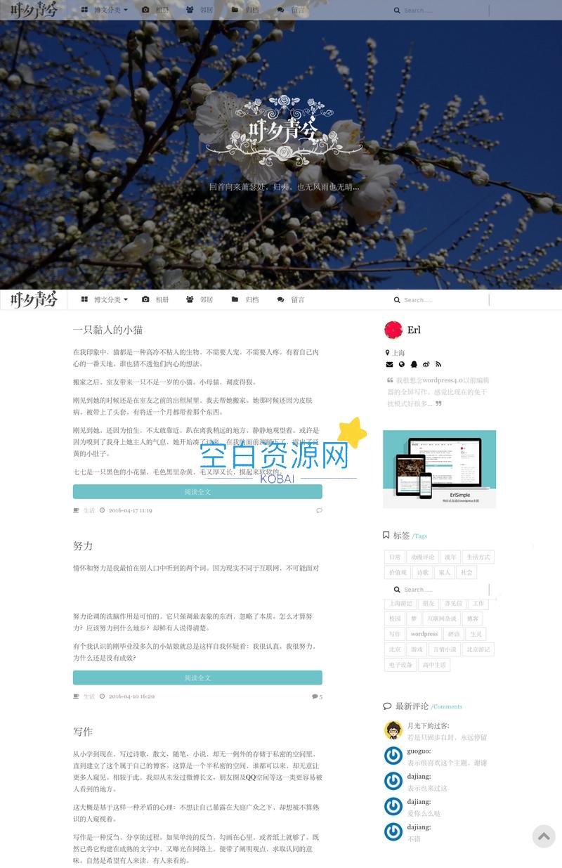 wordpress极简优秀的博客主题源码–ErlSimpleV1.5主题