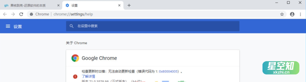 Google Chrome v125.0.6422.113 便携增强版